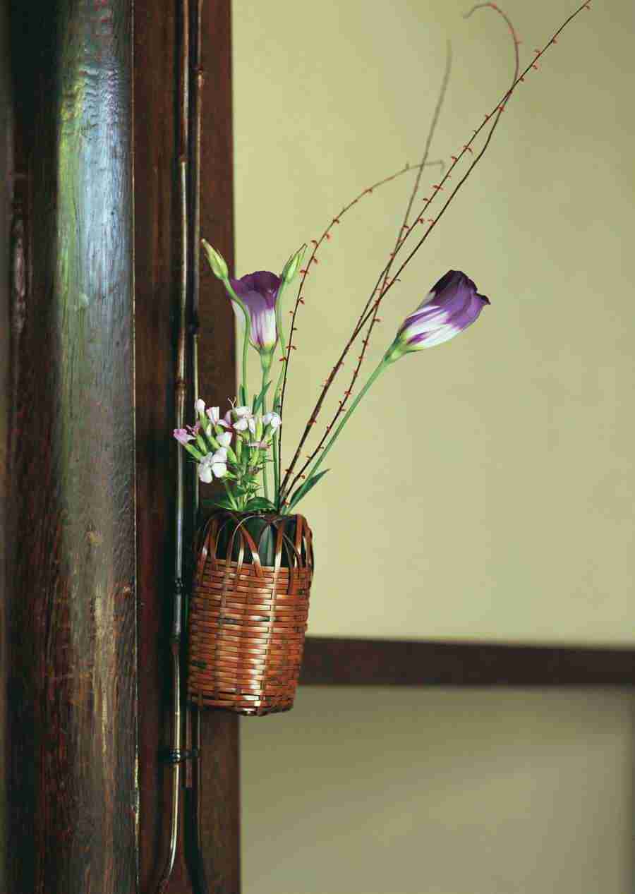 Japanese Style Kyoto Flavor - Datacraft Sozaijiten  ></a>
<script language=JavaScript> 
  var txt = 