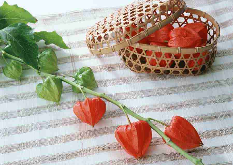 Japanese Style Kyoto Flavor - Datacraft Sozaijiten  ></a>
<script language=JavaScript> 
  var txt = 