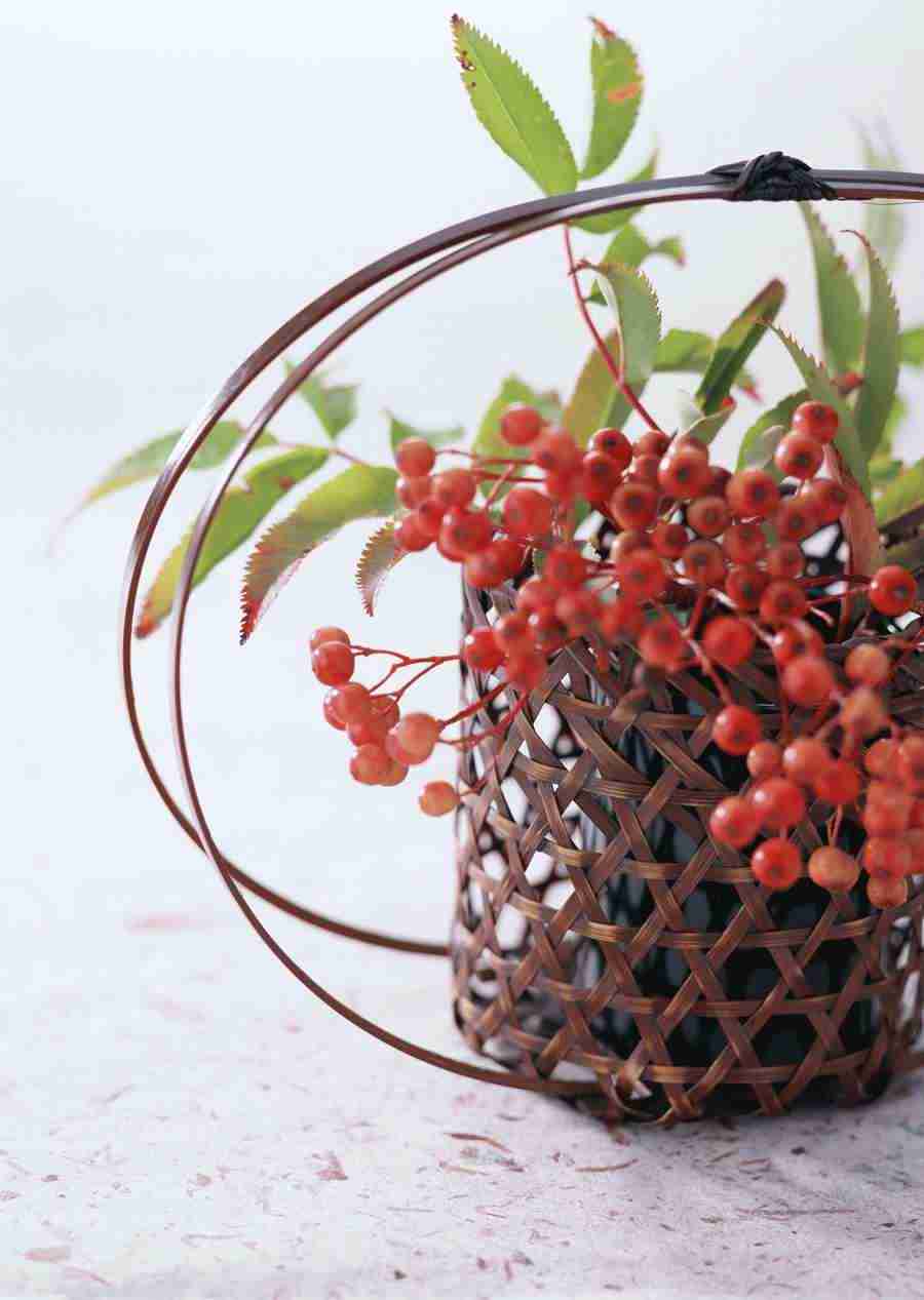 Japanese Style Kyoto Flavor - Datacraft Sozaijiten  ></a>
<script language=JavaScript> 
  var txt = 