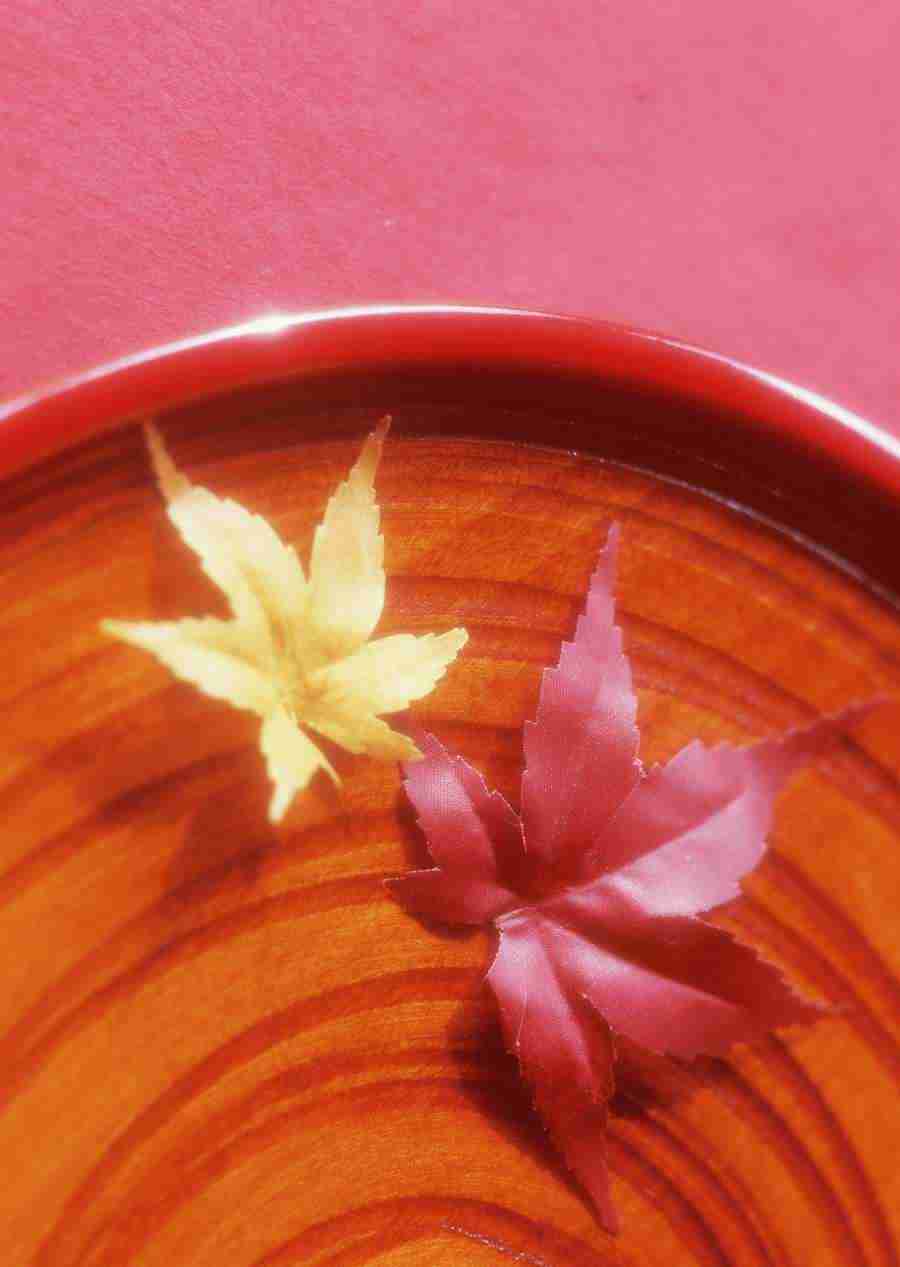 Japanese Style Kyoto Flavor - Datacraft Sozaijiten  ></a>
<script language=JavaScript> 
  var txt = 