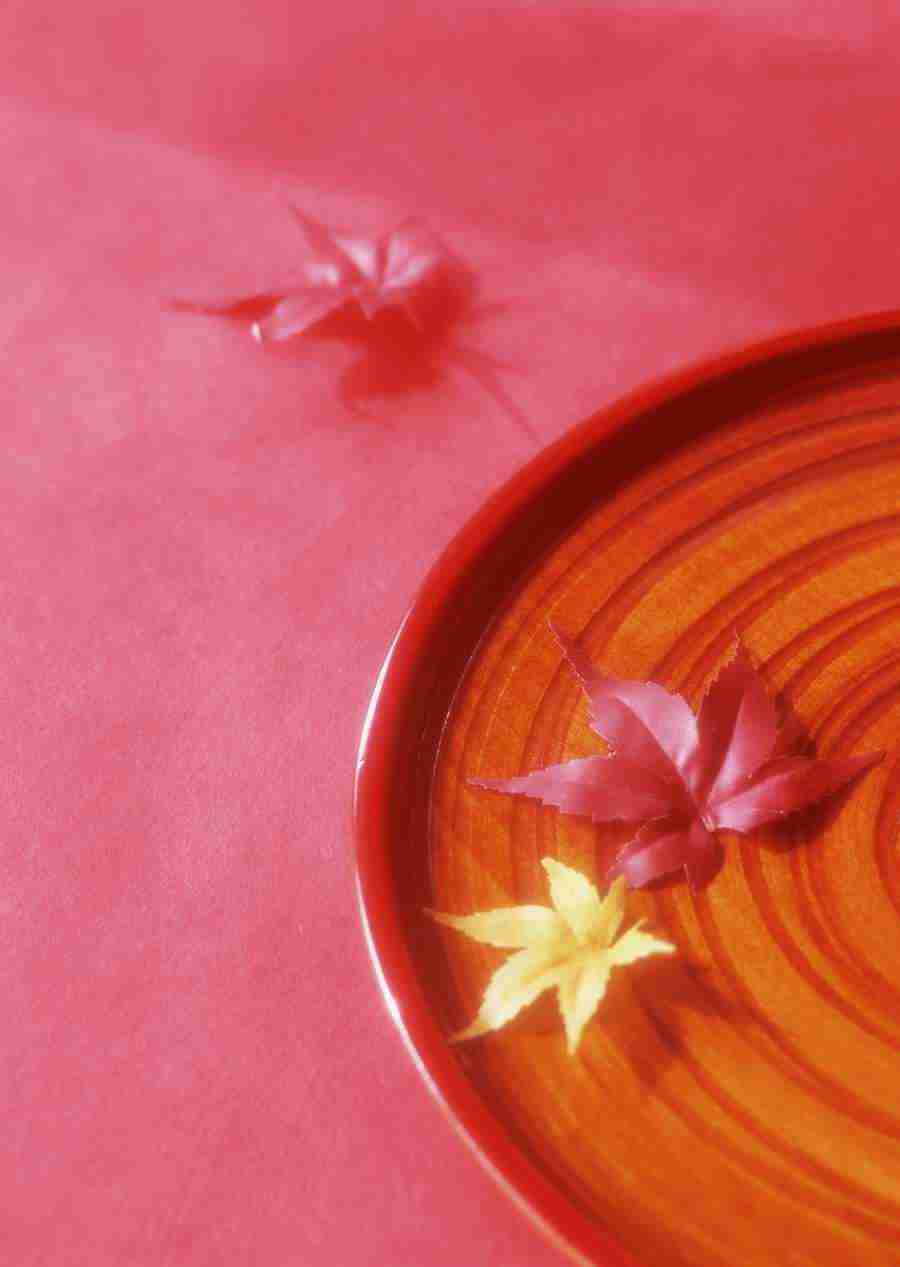 Japanese Style Kyoto Flavor - Datacraft Sozaijiten  ></a>
<script language=JavaScript> 
  var txt = 