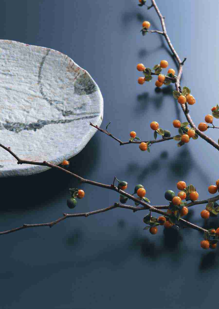 Japanese Style Kyoto Flavor - Datacraft Sozaijiten  ></a>
<script language=JavaScript> 
  var txt = 