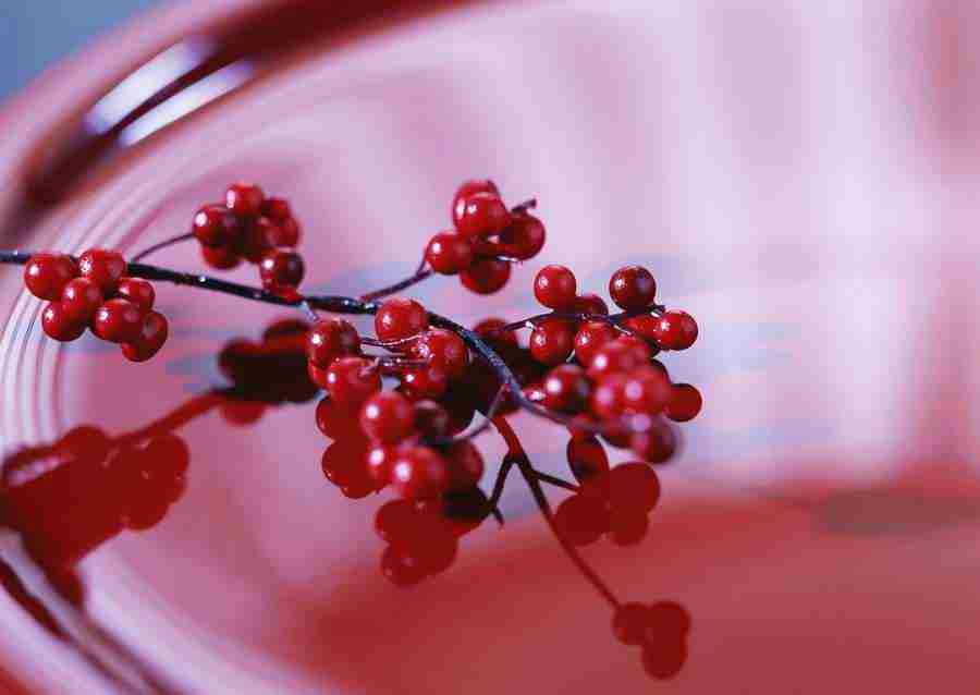 Japanese Style Kyoto Flavor - Datacraft Sozaijiten  ></a>
<script language=JavaScript> 
  var txt = 