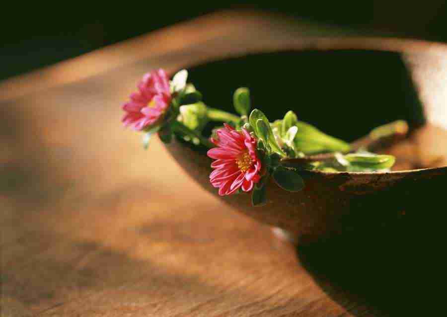 Japanese Style Kyoto Flavor - Datacraft Sozaijiten  ></a>
<script language=JavaScript> 
  var txt = 