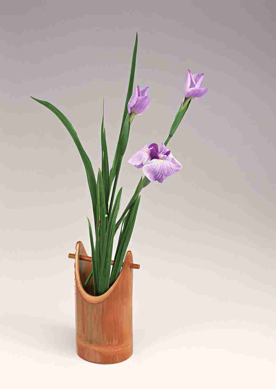 Japanese Yearly Celebrations - Datacraft Sozaijiten  ></a>
<script language=JavaScript> 
  var txt = 