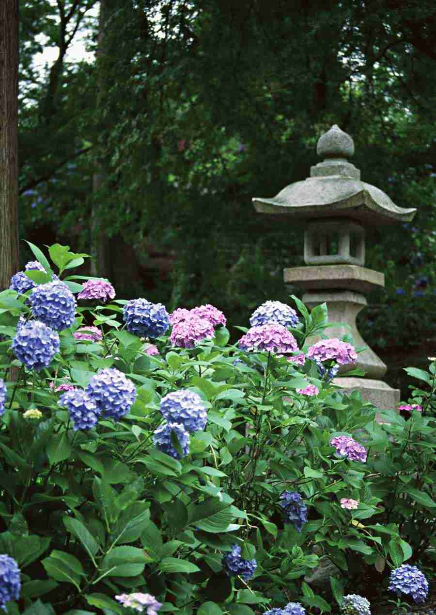 Japanese Yearly Celebrations - Datacraft Sozaijiten  ></a>
<script language=JavaScript> 
  var txt = 