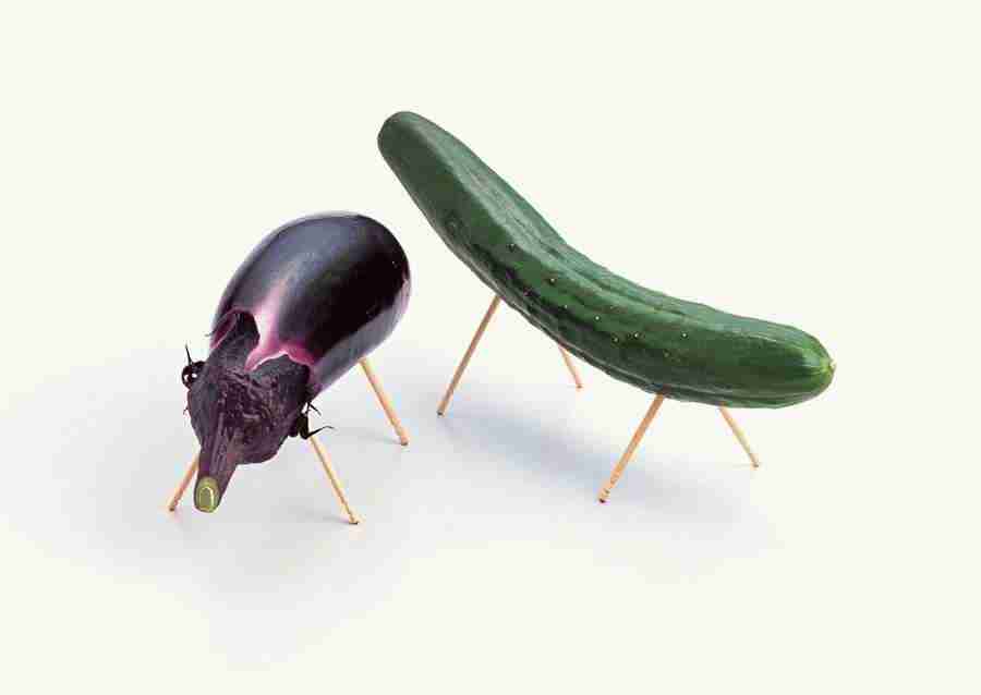 Japanese Yearly Celebrations - Datacraft Sozaijiten  ></a>
<script language=JavaScript> 
  var txt = 