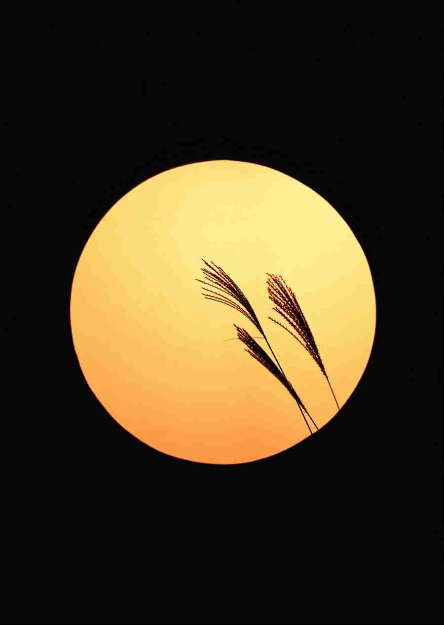 Japanese Yearly Celebrations - Datacraft Sozaijiten  ></a>
<script language=JavaScript> 
  var txt = 