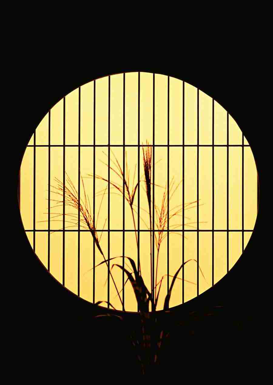 Japanese Yearly Celebrations - Datacraft Sozaijiten  ></a>
<script language=JavaScript> 
  var txt = 