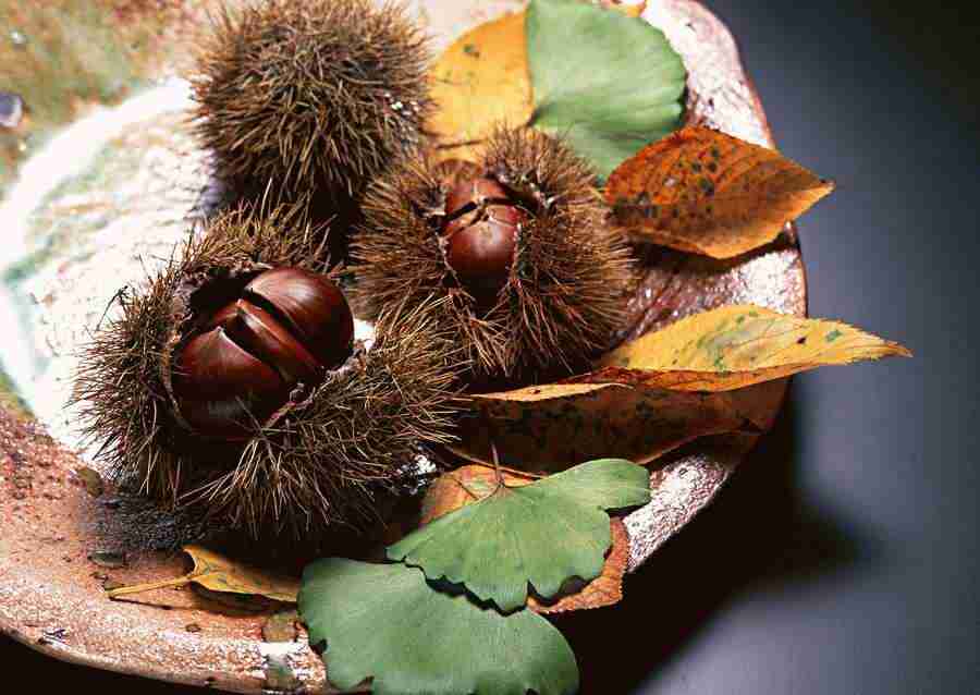 Japanese Yearly Celebrations - Datacraft Sozaijiten  ></a>
<script language=JavaScript> 
  var txt = 