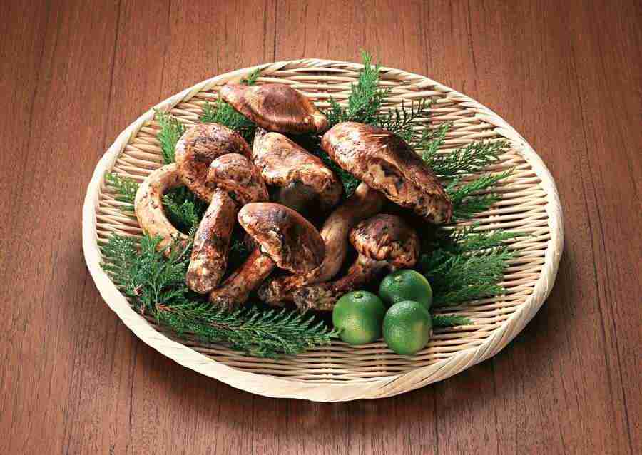 Japanese Yearly Celebrations - Datacraft Sozaijiten  ></a>
<script language=JavaScript> 
  var txt = 