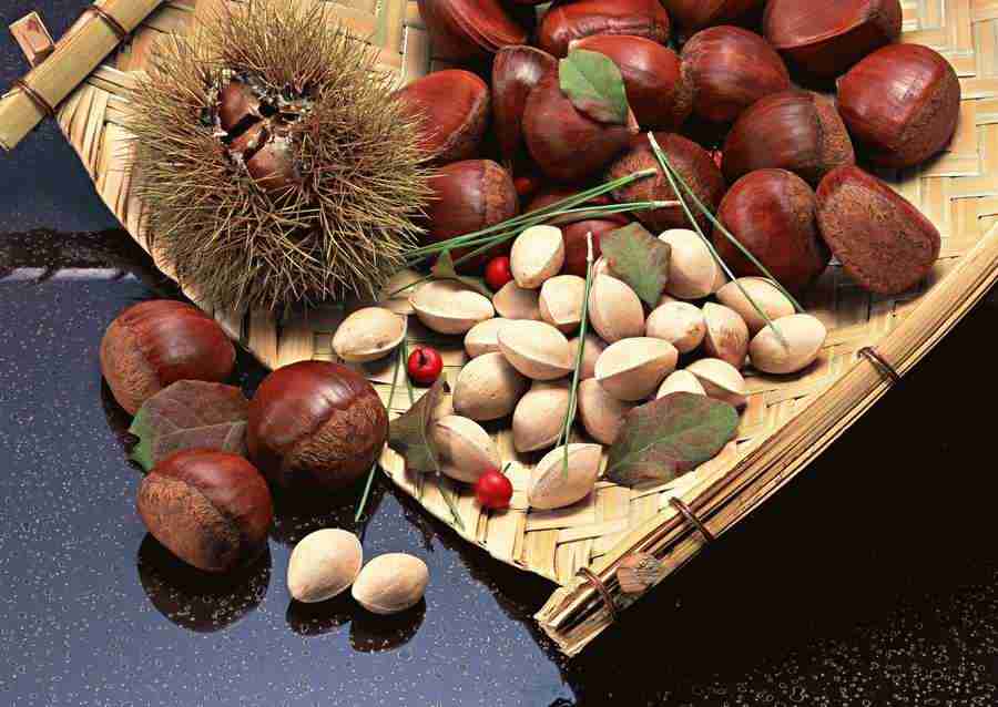 Japanese Yearly Celebrations - Datacraft Sozaijiten  ></a>
<script language=JavaScript> 
  var txt = 