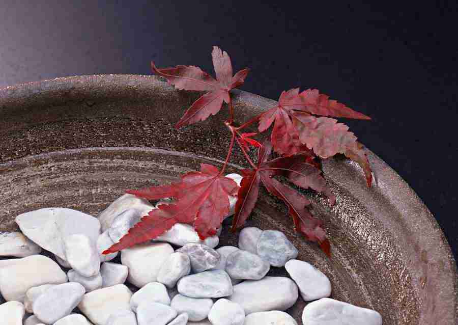 Japanese Yearly Celebrations - Datacraft Sozaijiten  ></a>
<script language=JavaScript> 
  var txt = 