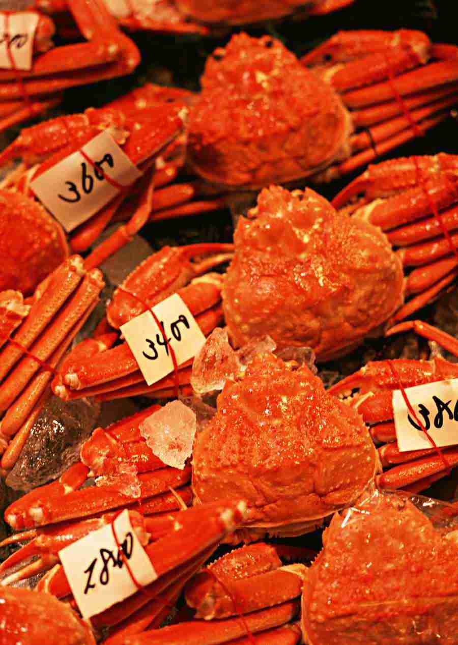 Japanese Yearly Celebrations - Datacraft Sozaijiten  ></a>
<script language=JavaScript> 
  var txt = 