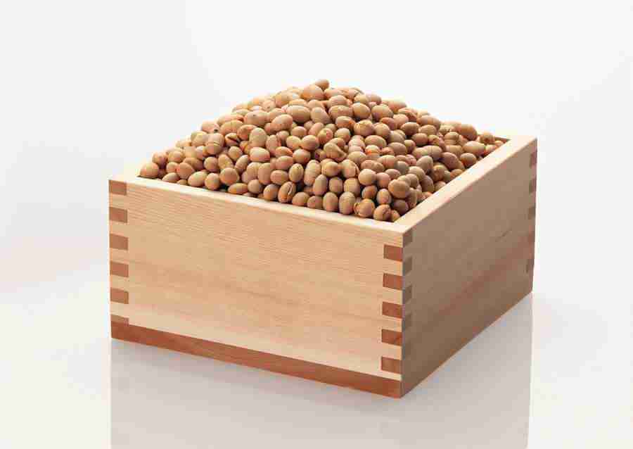 Japanese Yearly Celebrations - Datacraft Sozaijiten  ></a>
<script language=JavaScript> 
  var txt = 