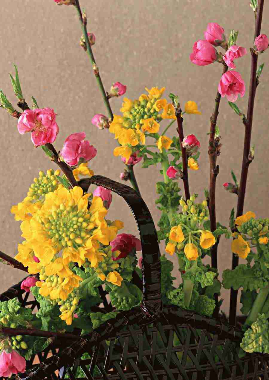 Japanese Yearly Celebrations - Datacraft Sozaijiten  ></a>
<script language=JavaScript> 
  var txt = 