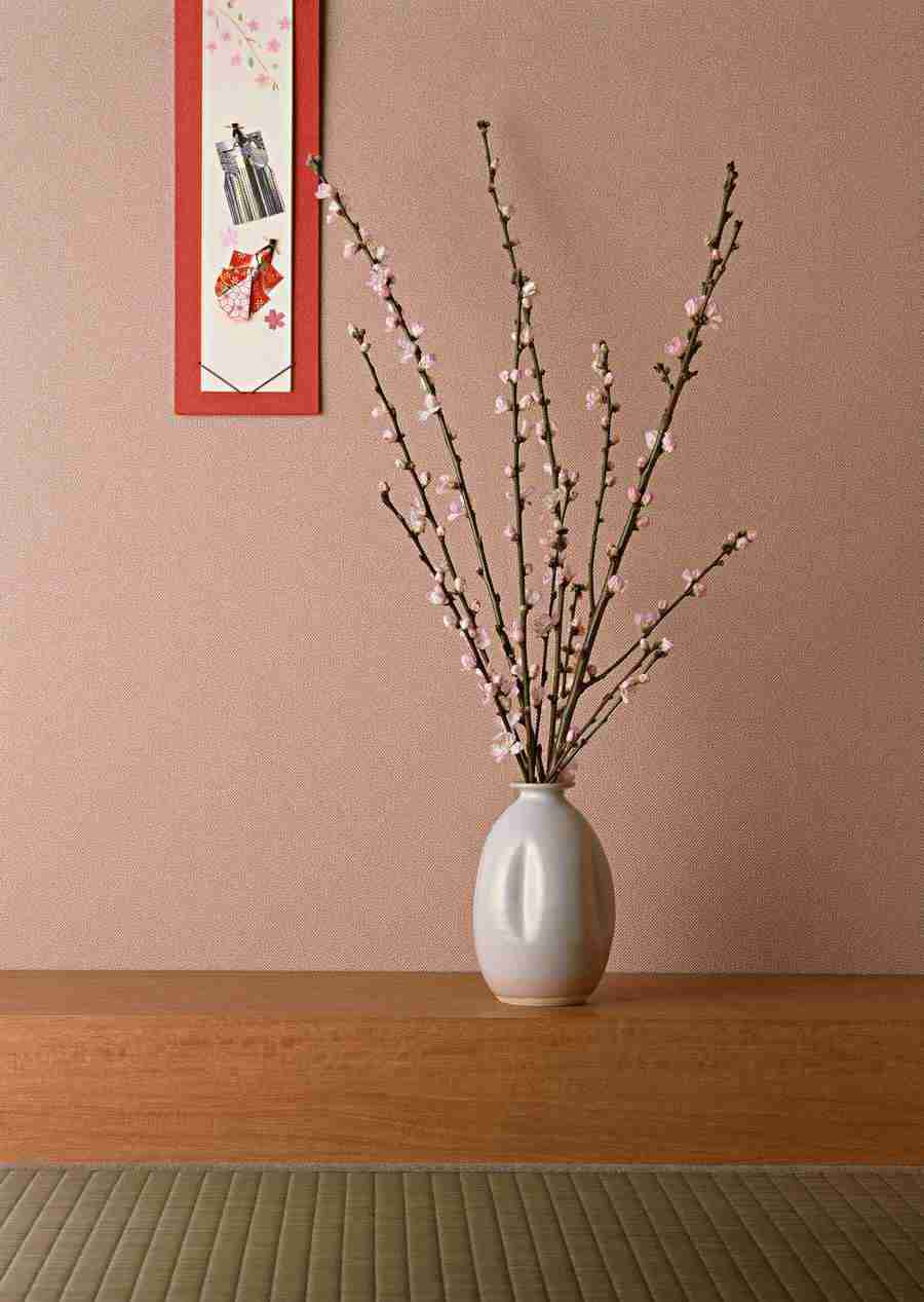 Japanese Yearly Celebrations - Datacraft Sozaijiten  ></a>
<script language=JavaScript> 
  var txt = 