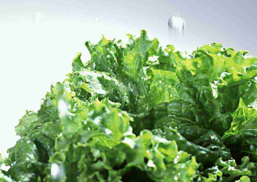 Kitchen and Cooking - Datacraft Sozaijiten  ></a>
<script language=JavaScript> 
  var txt = 