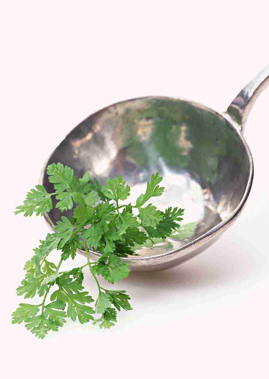 Kitchen and Cooking - Datacraft Sozaijiten  ></a>
<script language=JavaScript> 
  var txt = 