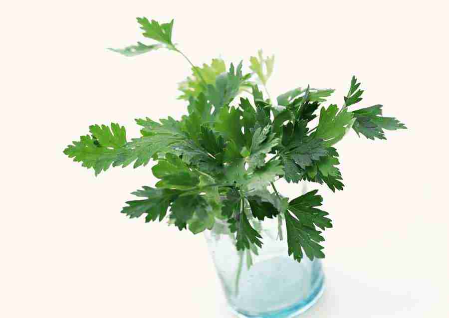 Kitchen and Cooking - Datacraft Sozaijiten  ></a>
<script language=JavaScript> 
  var txt = 