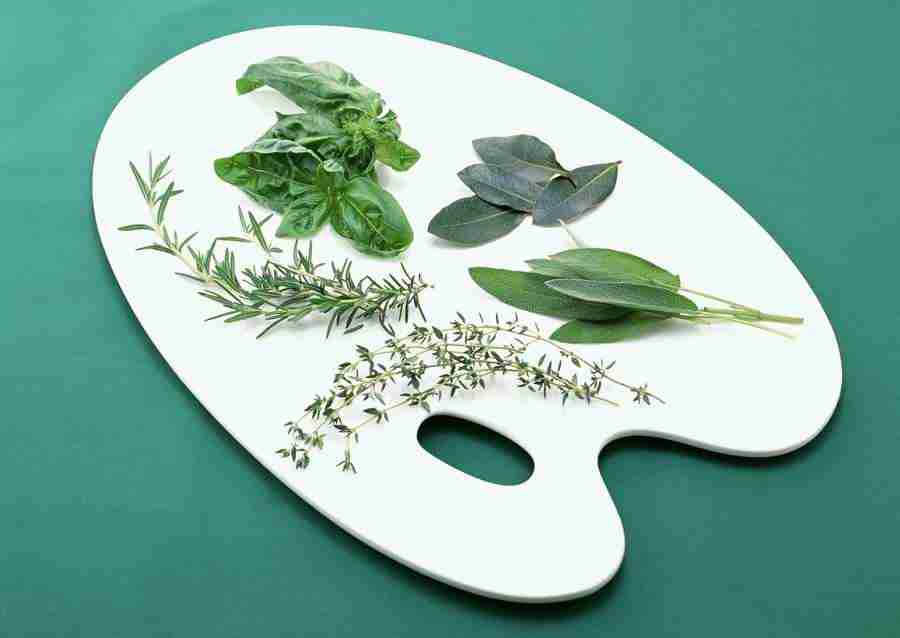 Kitchen and Cooking - Datacraft Sozaijiten  ></a>
<script language=JavaScript> 
  var txt = 