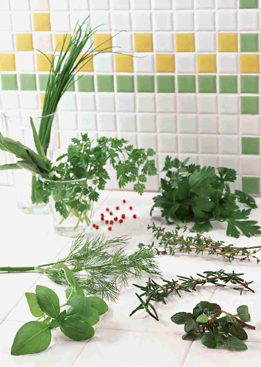 Kitchen and Cooking - Datacraft Sozaijiten  ></a>
<script language=JavaScript> 
  var txt = 