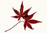 Datacraft Sozaijiten : Leaves 