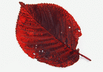 Datacraft Sozaijiten : Leaves 