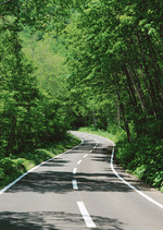 Datacraft Sozaijiten : Landscapes Featuring Roads 