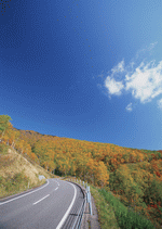 Datacraft Sozaijiten : Landscapes Featuring Roads 