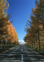 Datacraft Sozaijiten : Landscapes Featuring Roads 