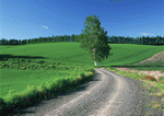 Datacraft Sozaijiten : Landscapes Featuring Roads 