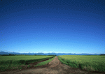 Datacraft Sozaijiten : Landscapes Featuring Roads 