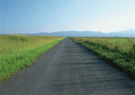 Datacraft Sozaijiten : Landscapes Featuring Roads 