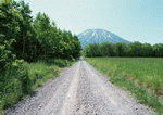 Datacraft Sozaijiten : Landscapes Featuring Roads 