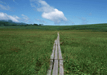 Datacraft Sozaijiten : Landscapes Featuring Roads 