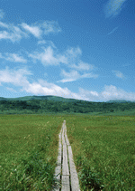 Datacraft Sozaijiten : Landscapes Featuring Roads 