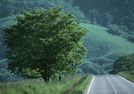 Datacraft Sozaijiten : Landscapes Featuring Roads 