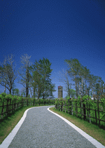 Datacraft Sozaijiten : Landscapes Featuring Roads 