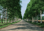 Datacraft Sozaijiten : Landscapes Featuring Roads 