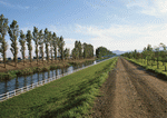 Datacraft Sozaijiten : Landscapes Featuring Roads 