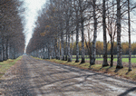 Datacraft Sozaijiten : Landscapes Featuring Roads 