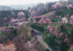 Datacraft Sozaijiten : Landscapes Featuring Roads 