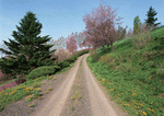 Datacraft Sozaijiten : Landscapes Featuring Roads 