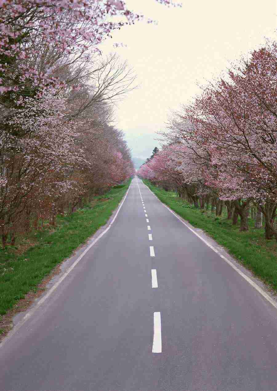 Landscapes Featuring Roads - Datacraft Sozaijiten  ></a>
<script language=JavaScript> 
  var txt = 