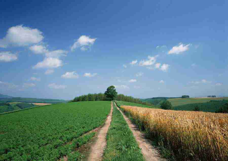 Landscapes Featuring Roads - Datacraft Sozaijiten  ></a>
<script language=JavaScript> 
  var txt = 