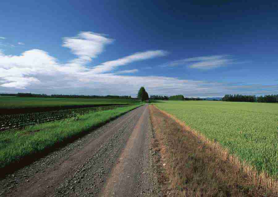 Landscapes Featuring Roads - Datacraft Sozaijiten  ></a>
<script language=JavaScript> 
  var txt = 