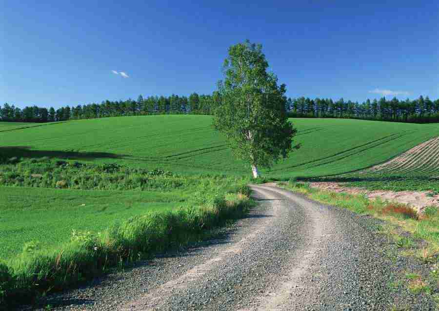 Landscapes Featuring Roads - Datacraft Sozaijiten  ></a>
<script language=JavaScript> 
  var txt = 