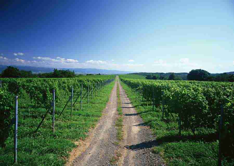 Landscapes Featuring Roads - Datacraft Sozaijiten  ></a>
<script language=JavaScript> 
  var txt = 