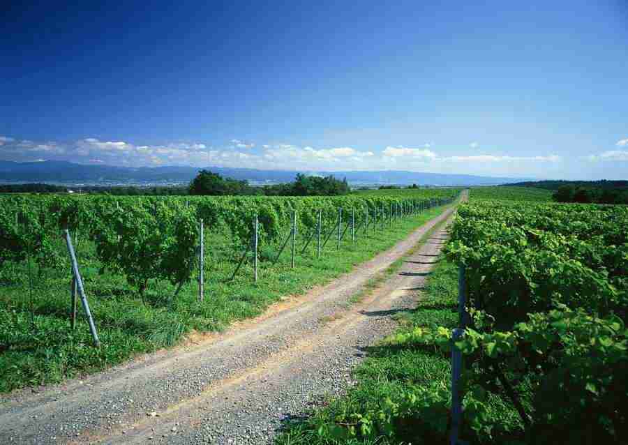 Landscapes Featuring Roads - Datacraft Sozaijiten  ></a>
<script language=JavaScript> 
  var txt = 